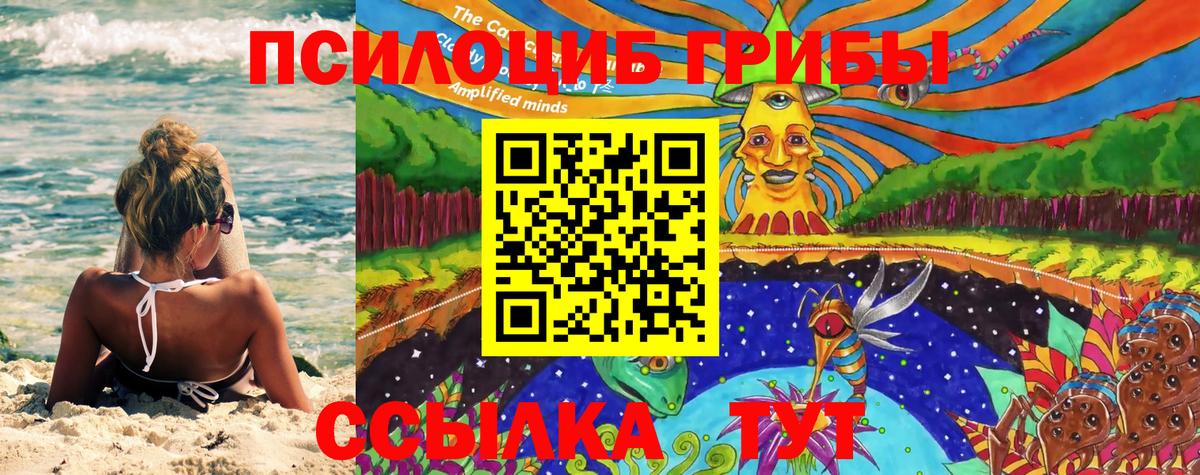 Псилоцибиновые грибы ЛСД Нерюнгри